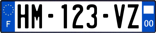 HM-123-VZ