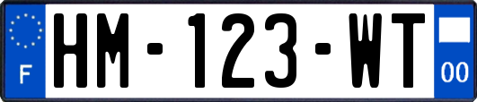 HM-123-WT