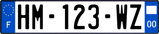 HM-123-WZ