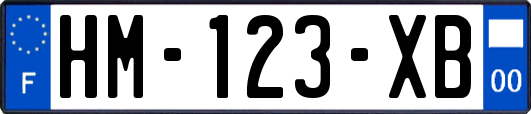 HM-123-XB