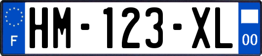 HM-123-XL