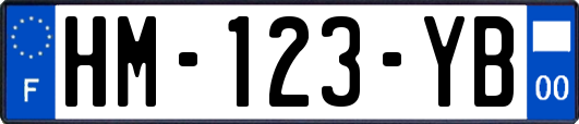 HM-123-YB