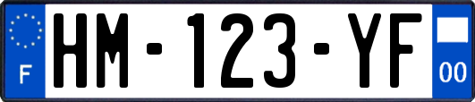HM-123-YF