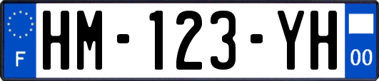 HM-123-YH