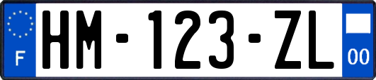HM-123-ZL