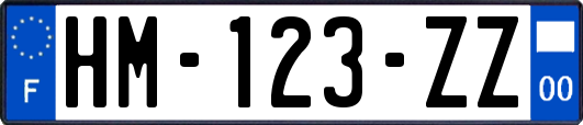 HM-123-ZZ