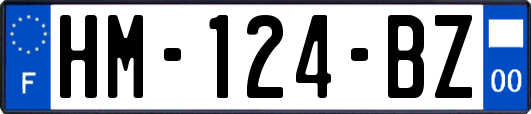 HM-124-BZ
