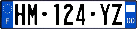 HM-124-YZ
