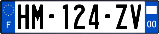 HM-124-ZV