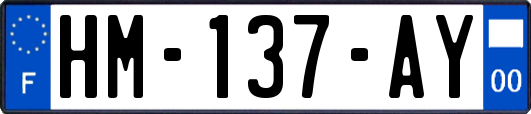 HM-137-AY