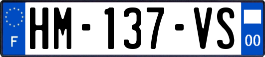 HM-137-VS