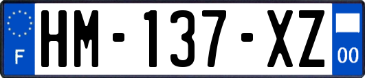 HM-137-XZ