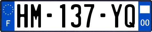 HM-137-YQ