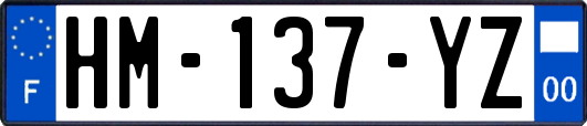 HM-137-YZ