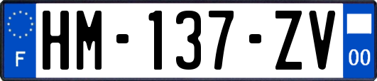 HM-137-ZV