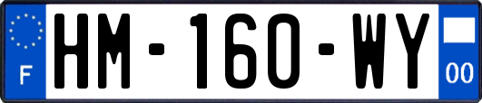 HM-160-WY