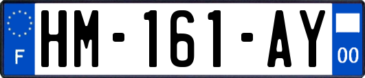 HM-161-AY