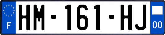HM-161-HJ