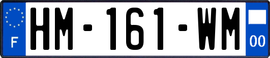 HM-161-WM