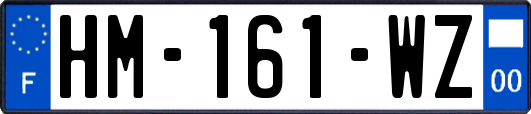 HM-161-WZ