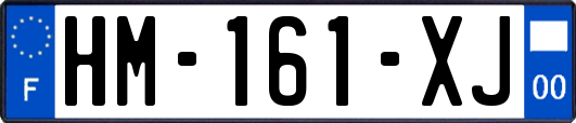 HM-161-XJ