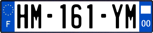 HM-161-YM