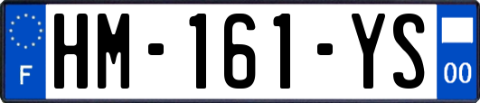 HM-161-YS