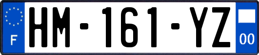 HM-161-YZ