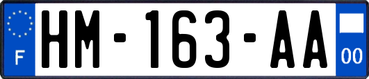 HM-163-AA