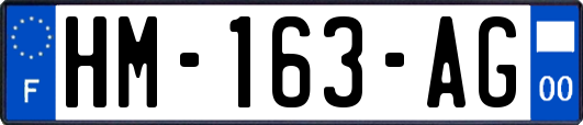 HM-163-AG