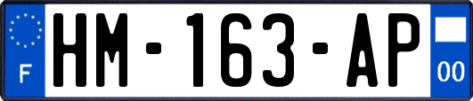 HM-163-AP