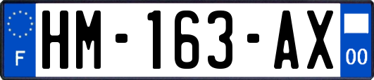 HM-163-AX