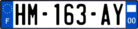 HM-163-AY