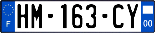 HM-163-CY