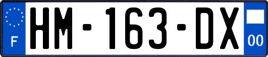 HM-163-DX