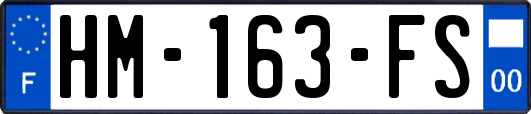 HM-163-FS