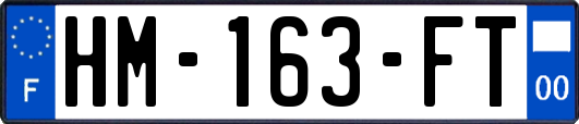 HM-163-FT
