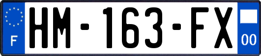 HM-163-FX