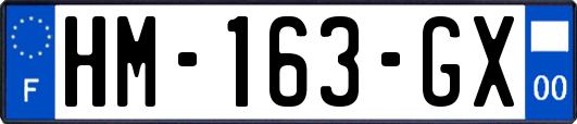 HM-163-GX