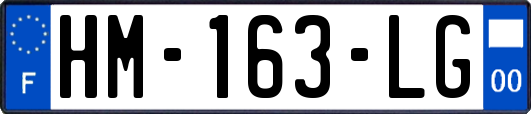 HM-163-LG