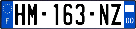 HM-163-NZ