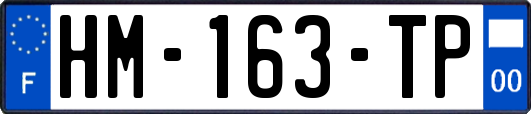 HM-163-TP