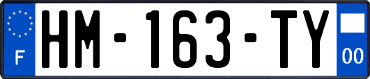 HM-163-TY