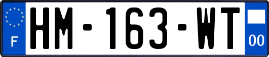 HM-163-WT