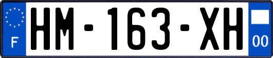 HM-163-XH