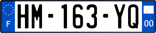 HM-163-YQ