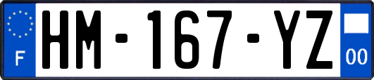 HM-167-YZ