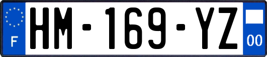HM-169-YZ