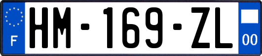 HM-169-ZL