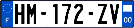 HM-172-ZV